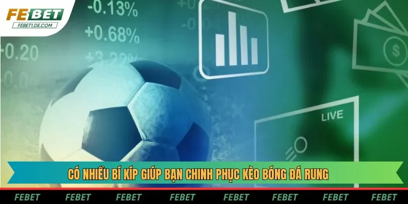 Có nhiều bí kíp giúp bạn chinh phục kèo bóng đá rung Có nhiều bí kíp giúp bạn chinh phục kèo bóng đá rung